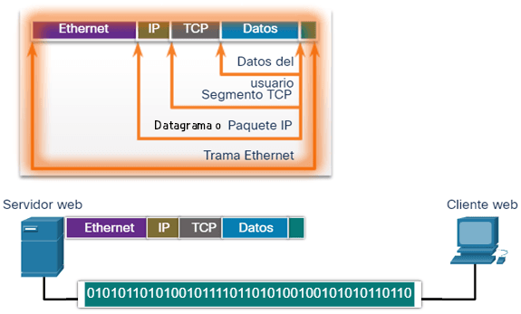 Ejemplo de encapsulación de
información.